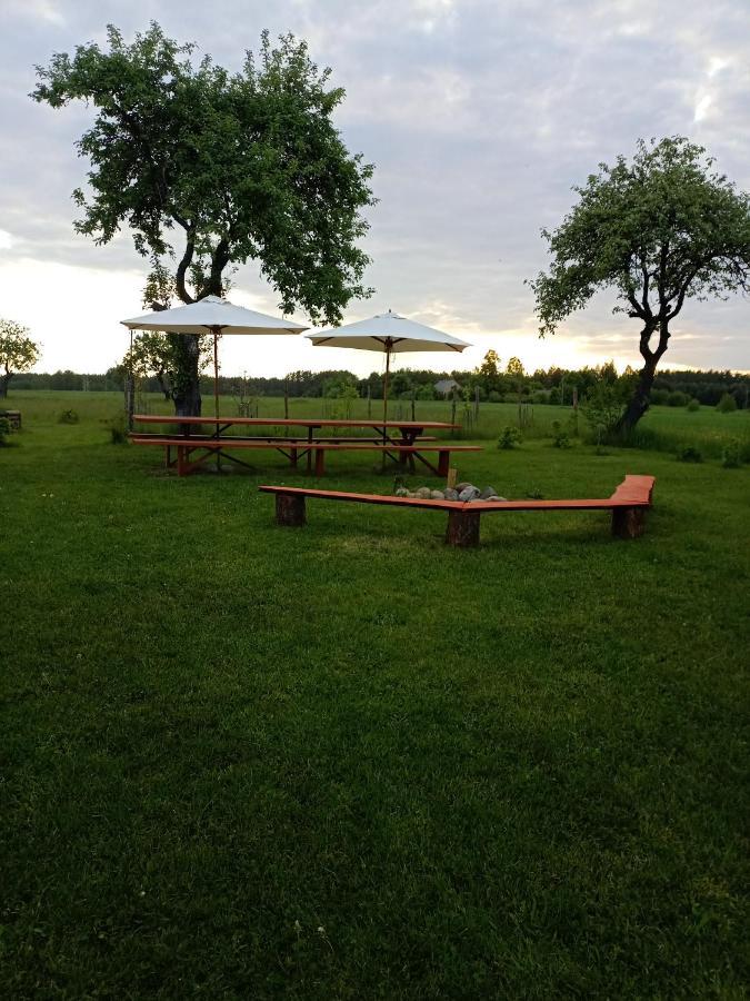 Agroturystyka Podlasie Dobrzyniewo Duze Exterior photo
